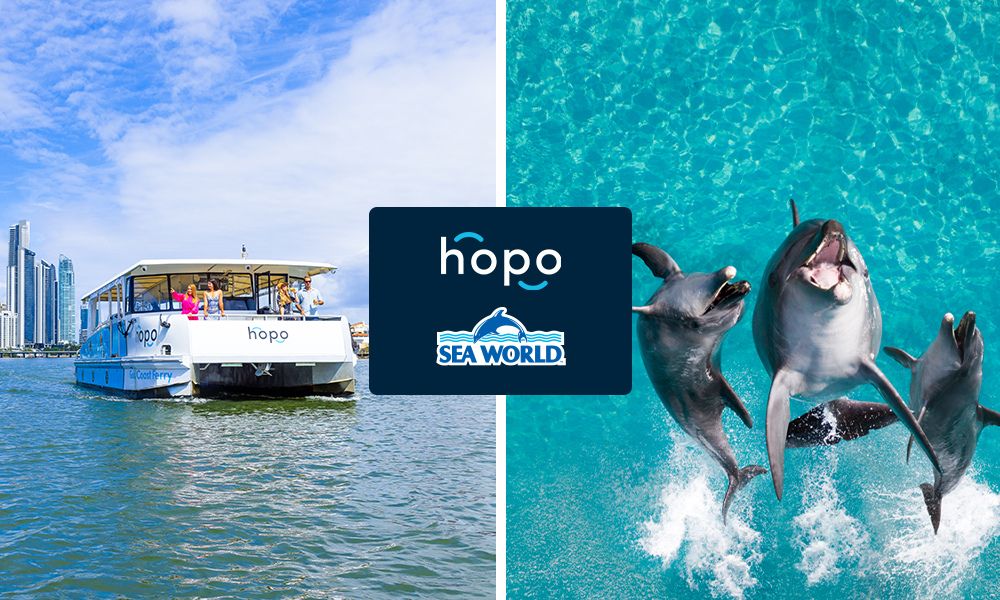 Hopo Return Ferry Transfer + Sea World Single Day Pass Combo Package