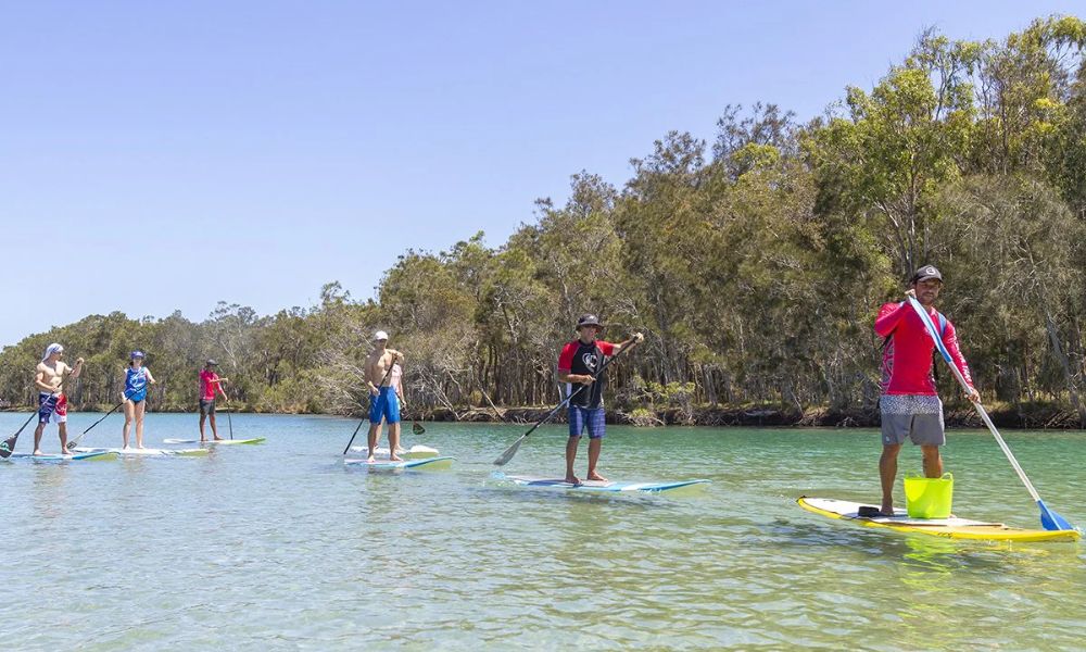 Full Day Gumbaynggirr Cultural Tour: Stand Up Paddle and Walk