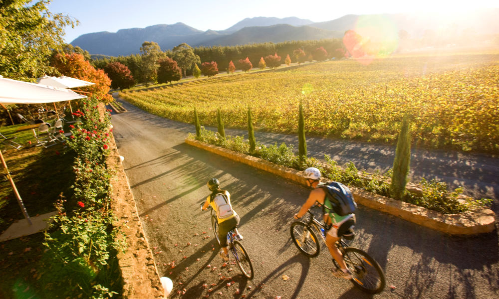 Picnic at the Feathertop Winery