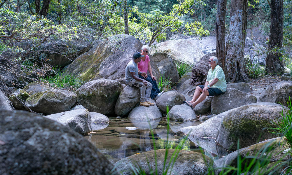 Full Day Julaymba Dungay Tour to the Daintree and Mosman