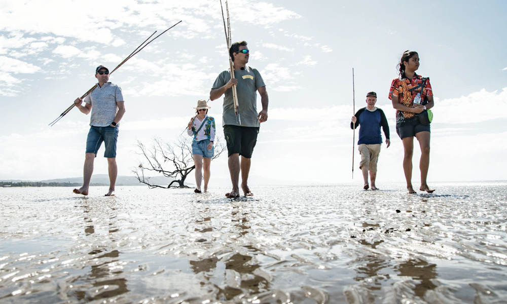 Half Day Morning Julaymba Dungay Tour to Mossman and Daintree River