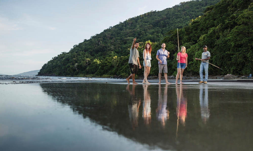 Morning Half Day Ngana Kulkinga Dungay to Mossman and Cape Tribulation