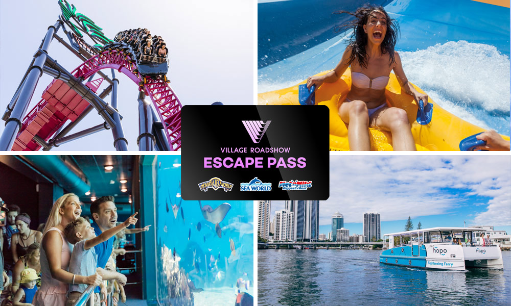 3 Day Theme Park Pass + Hopo All Day Ferry Pass
