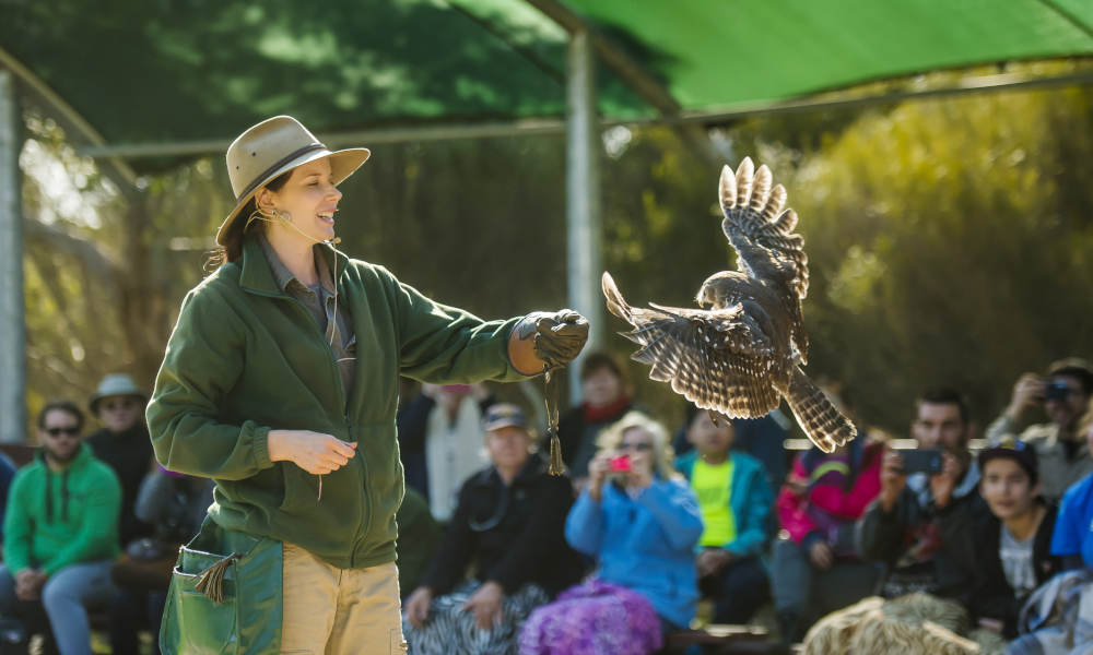 Kangaroo Island Full Day Tour from Adelaide including Lunch and Wine Tastings