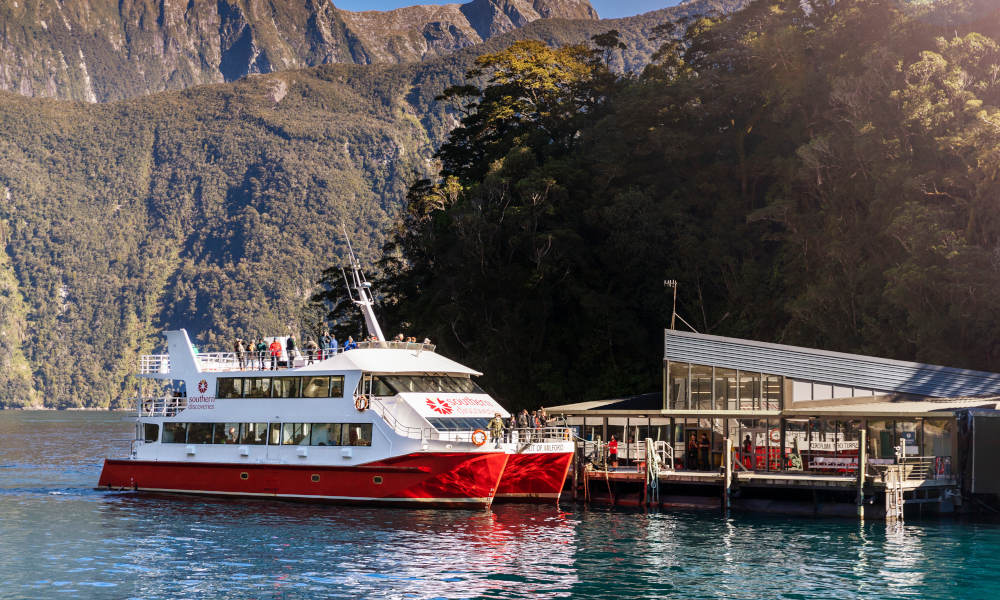 Milford Sound Cruise with Underwater Observatory - Afternoon Departure