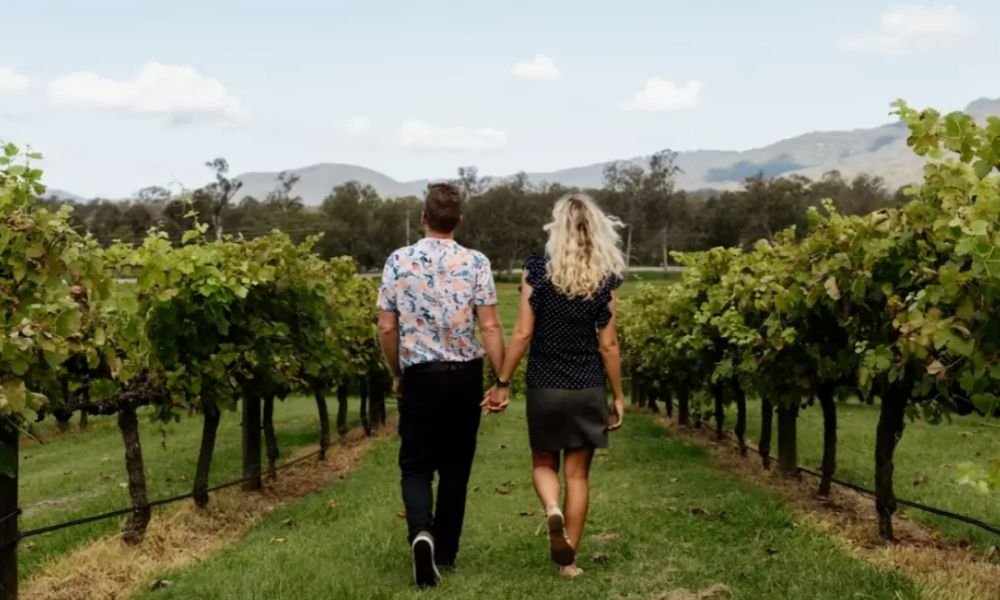 Full Day Mount Tamborine Wine Tour from Brisbane