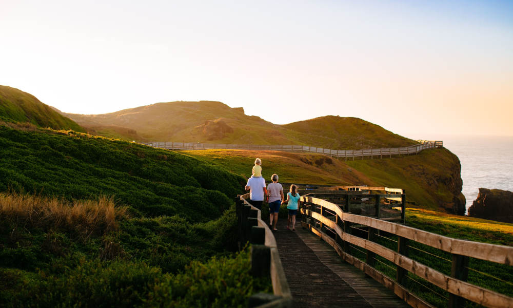 Phillip Island Nature Parks Multi Park Pass - 4 Parks Pass (Penguin Parade General Viewing, Churchill Island, Koala Conservation Reserve, Antarctic Journey)