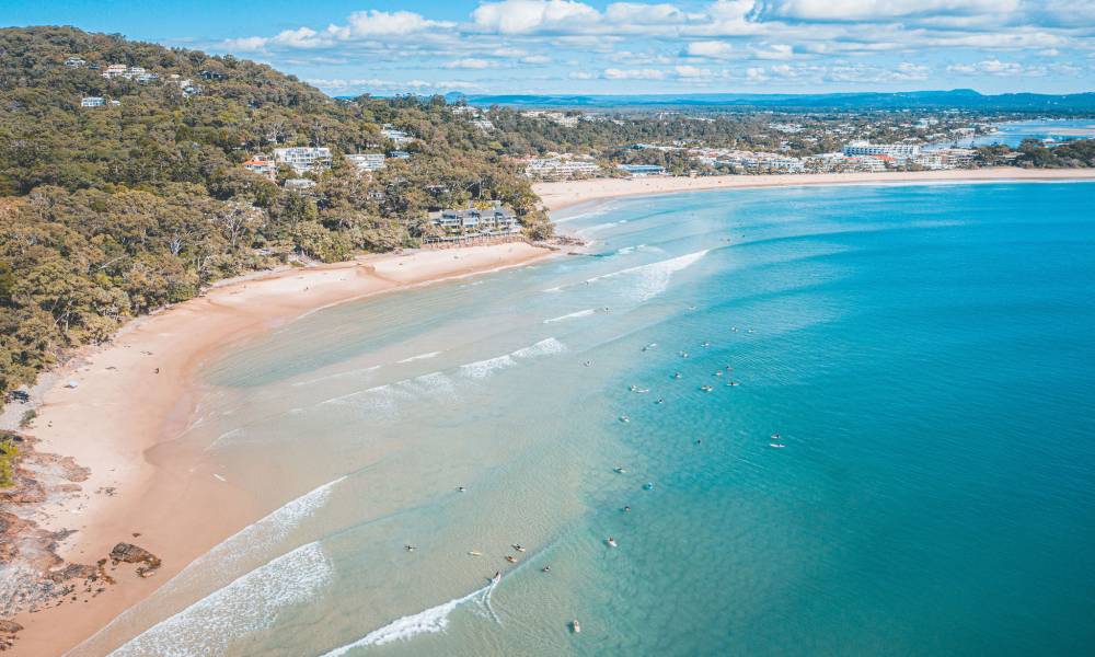 Sunshine Coast Hinterland and Noosa Tour