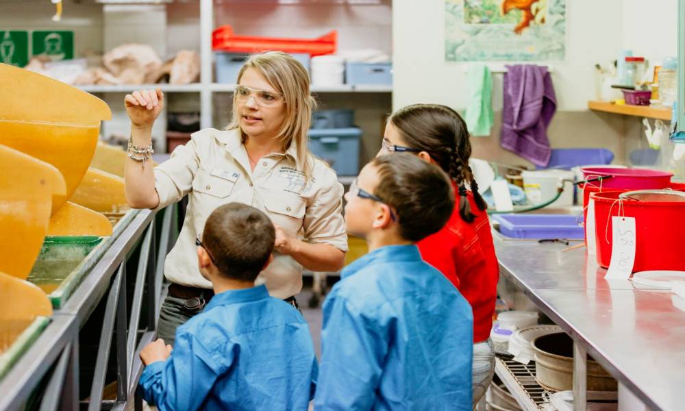 Guided Riversleigh Fossil Discovery Centre & Laboratory