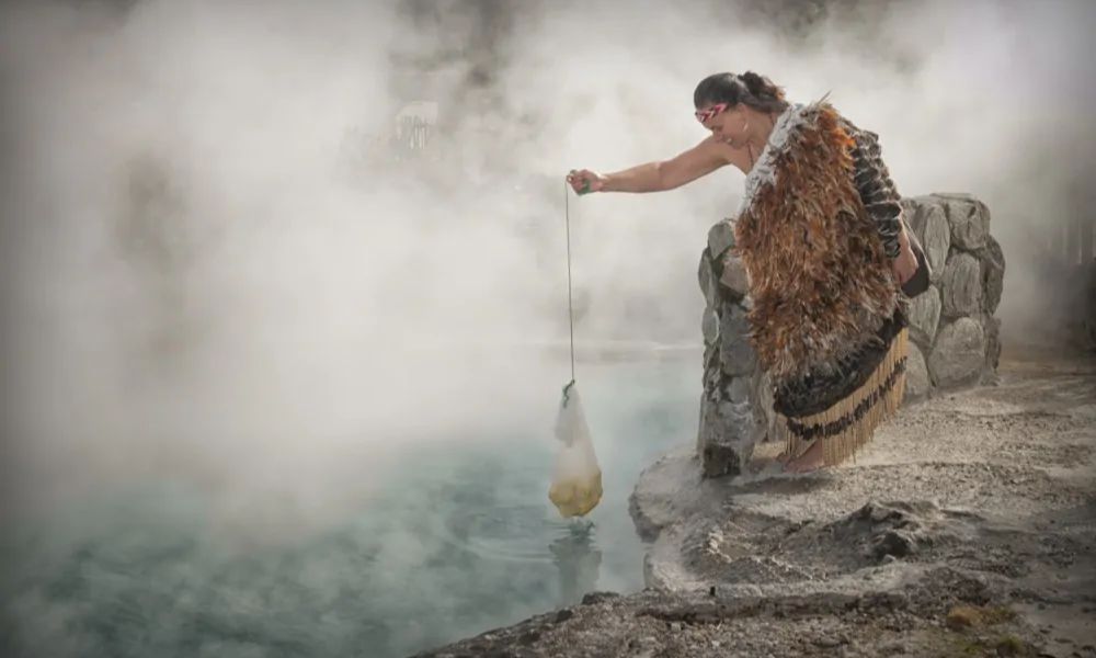 Whakarewarewa Village Guided Tour - 1 Hour