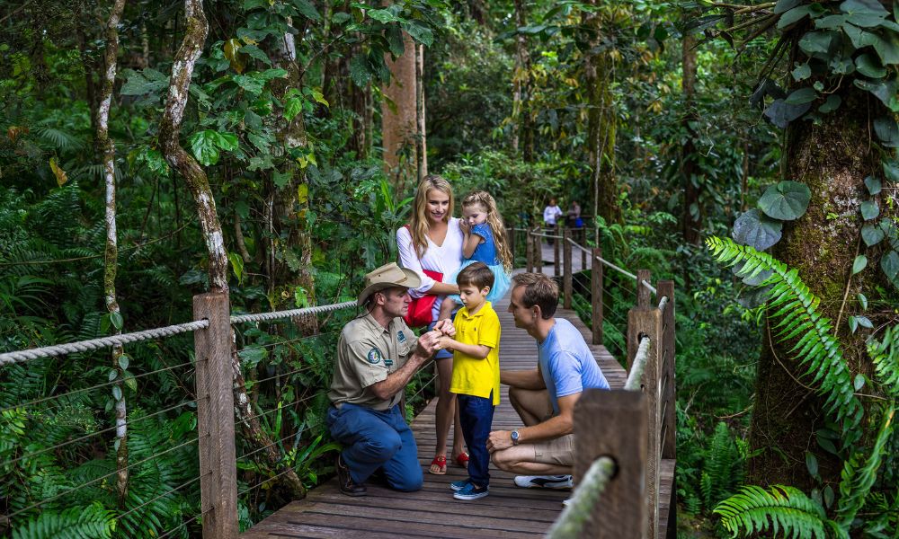 Kuranda Self Drive Scenic Rail & Skyrail Tour