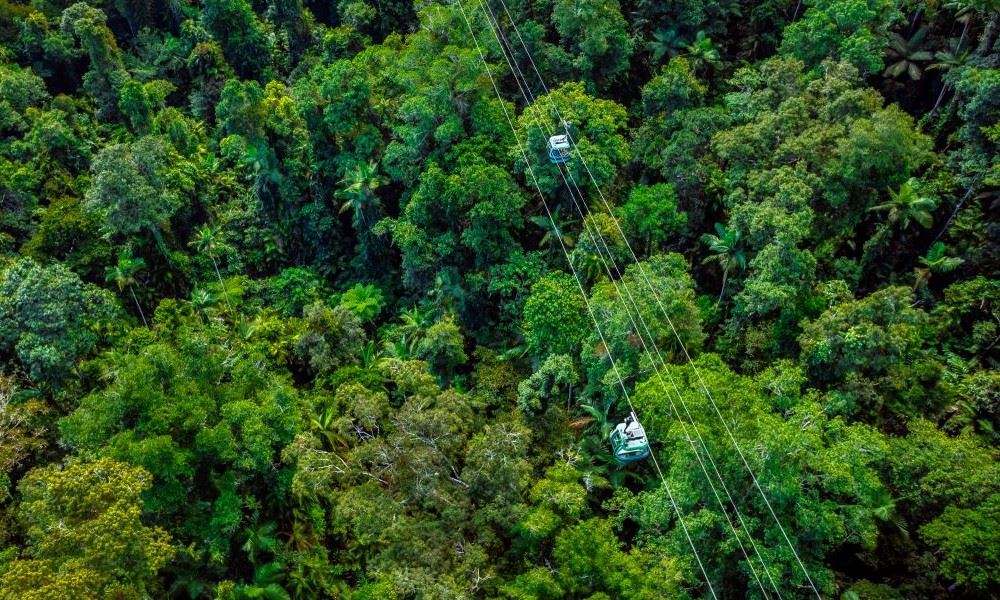 Kuranda: Skyrail and Scenic Rail from Cairns