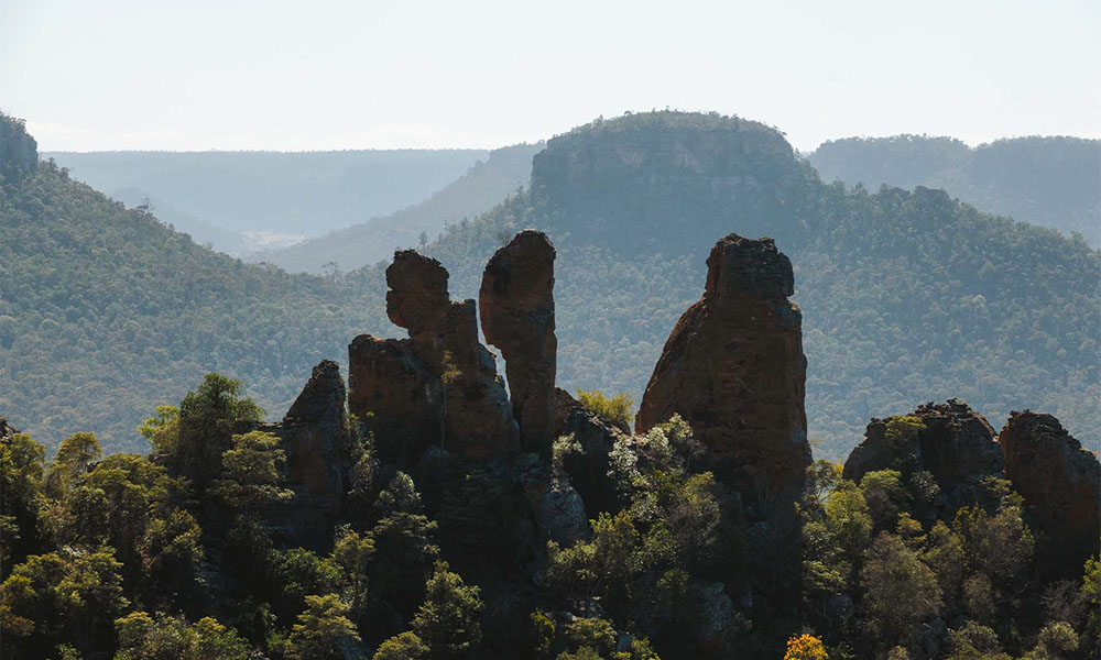 5 Day Carnarvon Gorge Hiking Tour