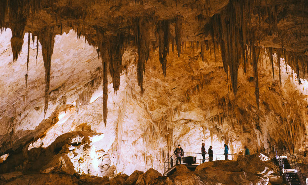 Margaret River Mammoth Caves Tour