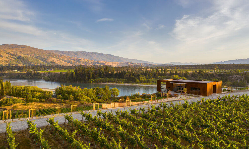 Central Otago Food and Wine Tour - Central Otago Full Day Wine Tour