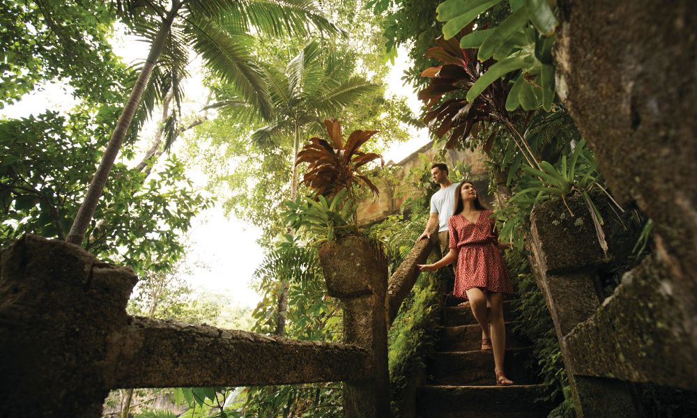 Full Day Paronella Park Experience with Dinner  Book Now | Oz