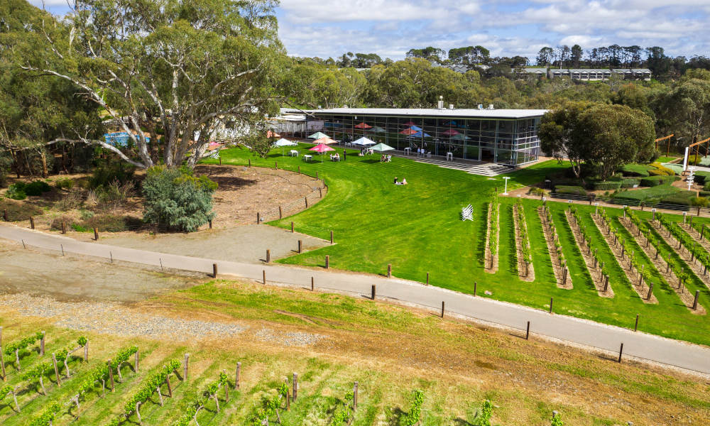 Barossa Valley Picnic with Food, Wine and Tasting - For 2