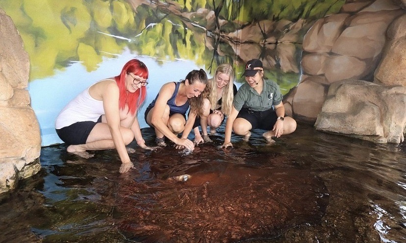 Whipray Encounter with Crocosaurus Cove Entry - Whipray Encounter