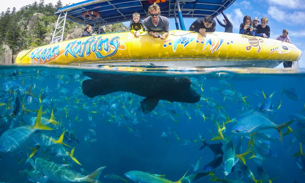 Daydream Island Ocean Rafting Tour - Northern Exposure
