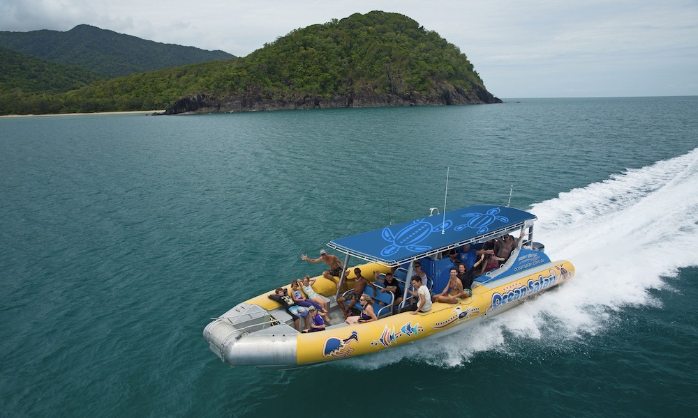 Great Barrier Reef Snorkel Trip from Cape Tribulation