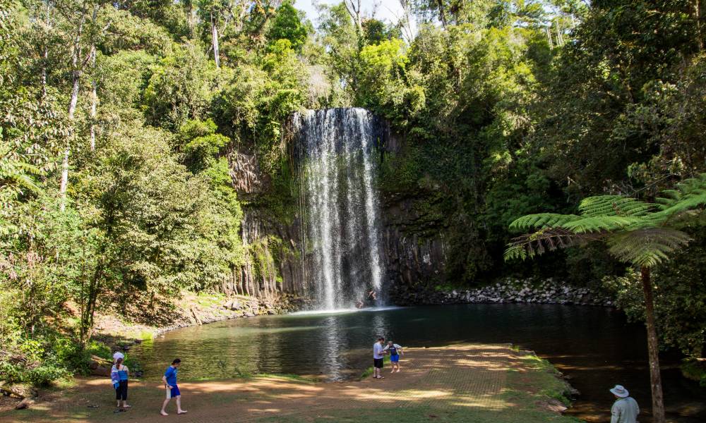 Yungaburra Heritage and Rainforest Tour From Yungaburra