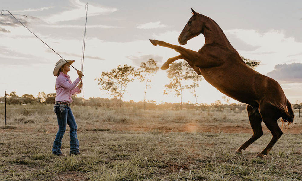 Two Hour Outback Show Experience