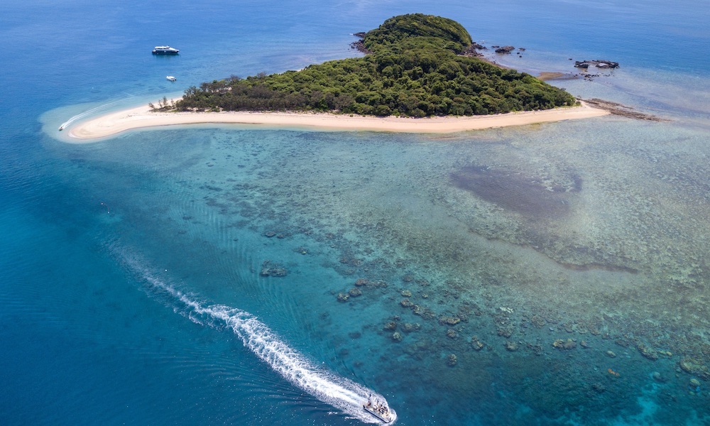Frankland Island Reef Cruise and Island Day Tour Special
