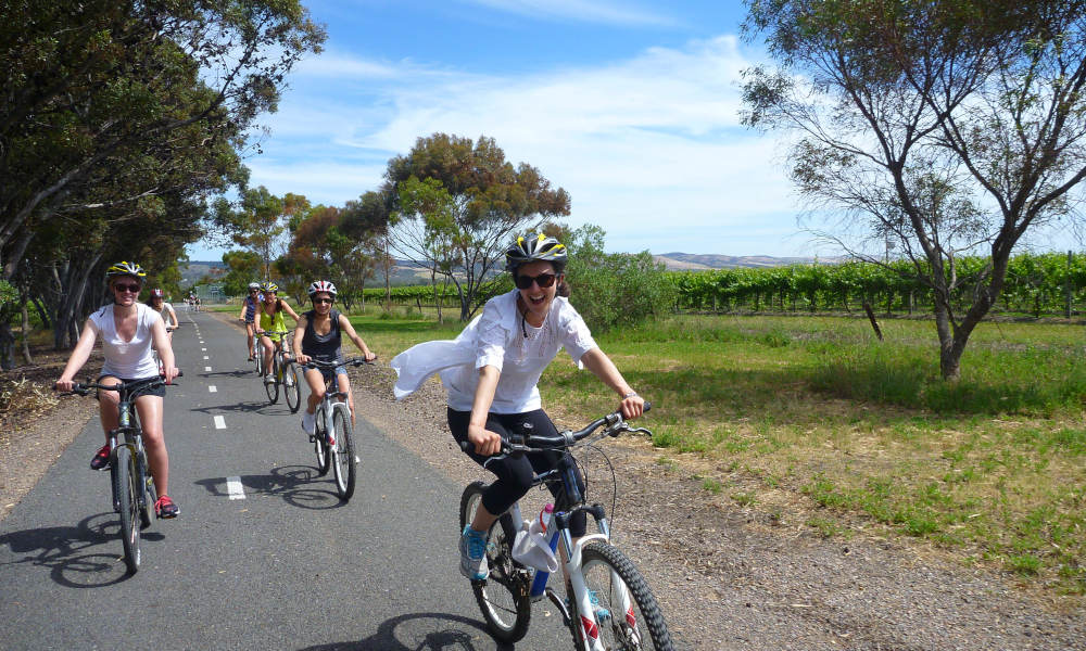 McLaren Vale Wineries Bike Tour