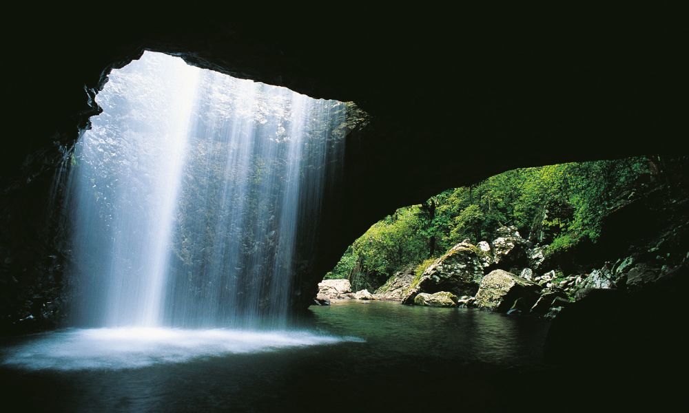 Gold Coast Day Tour From Brisbane