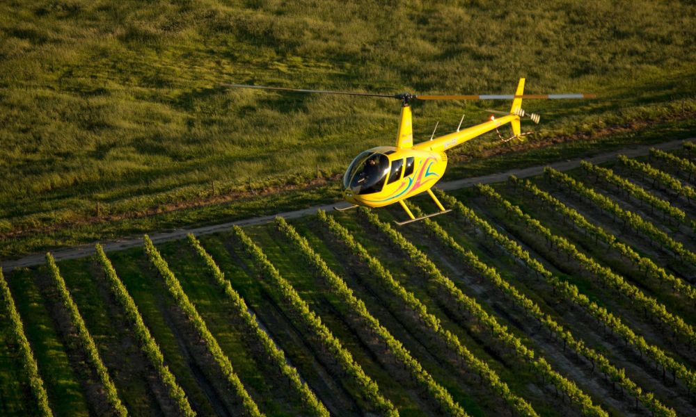 Barossa Valley Taste of Flight Helicopter Experience