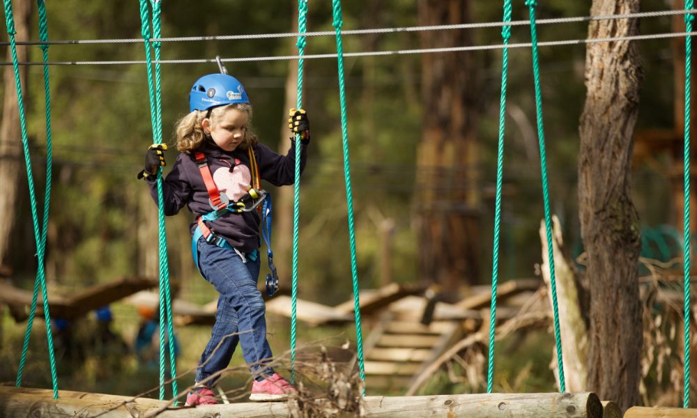 Coffs Harbour Kids Tree Ropes Course - 2.5 Hours
