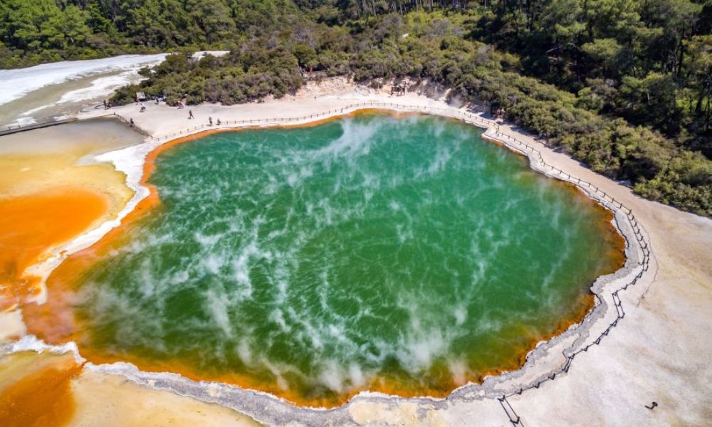 Hobbiton & Rotorua with Wai-O-Tapu Tour from Auckland