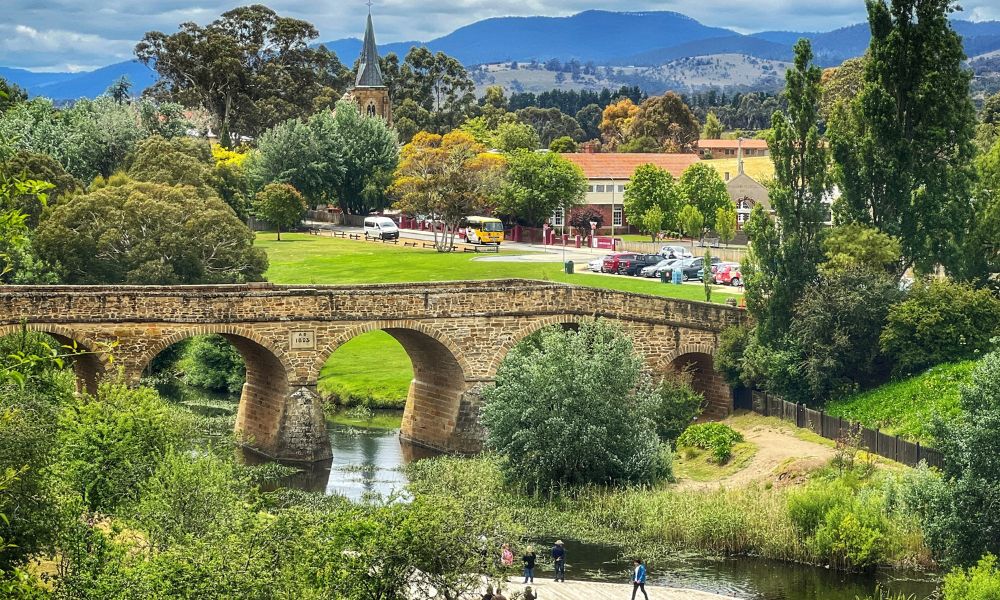 Bonorong Sanctuary & Richmond Village Tour from Hobart