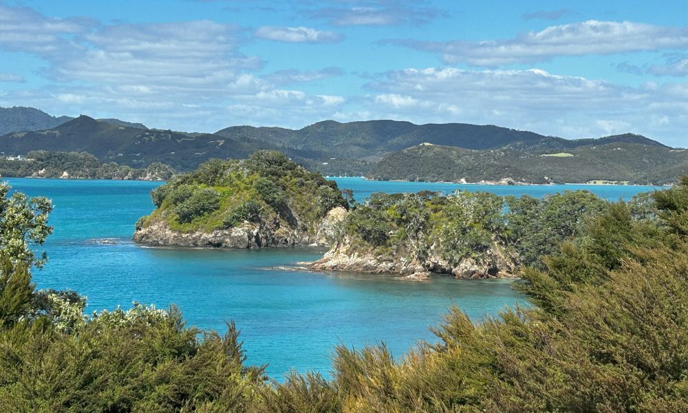 Urupukapuka Island Guided Walking Tour - 1 Hour