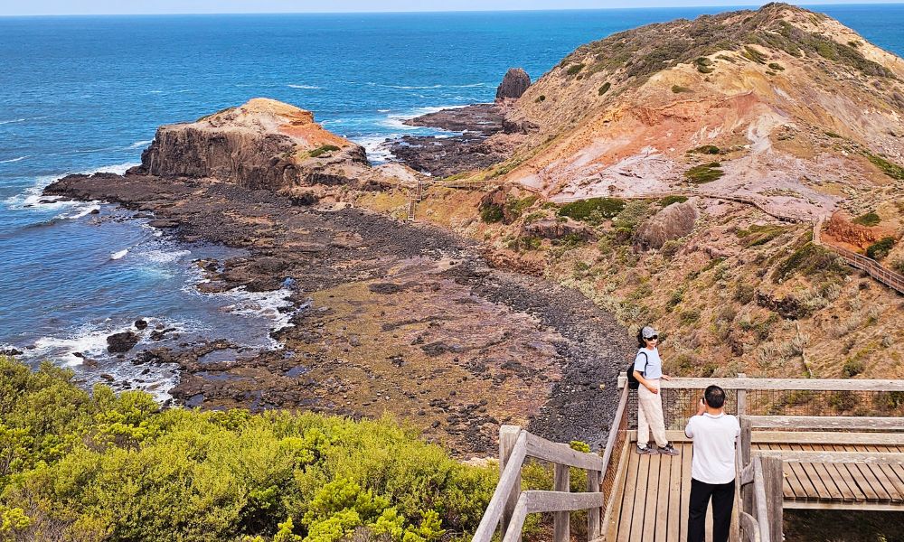 Mornington Peninsula Coastal Discovery Tour - Full Day