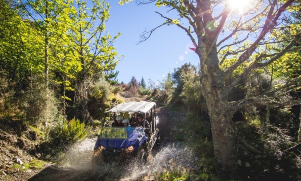 Queenstown Ride-Along Buggy Tour