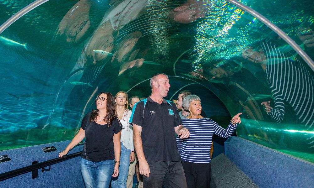 National Aquarium of New Zealand Guided Tour & Admission