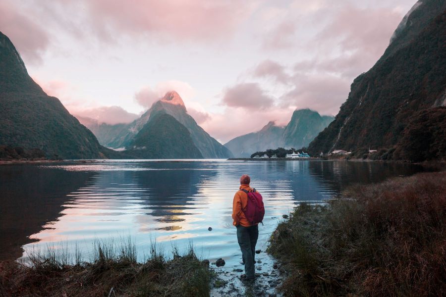 Queenstown to Te Anau Small Group Tour, Cruise & Picnic