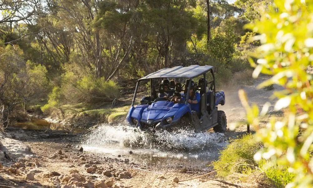 Off Road Kangaroo Island Guided Buggy Tour - 2 Hours