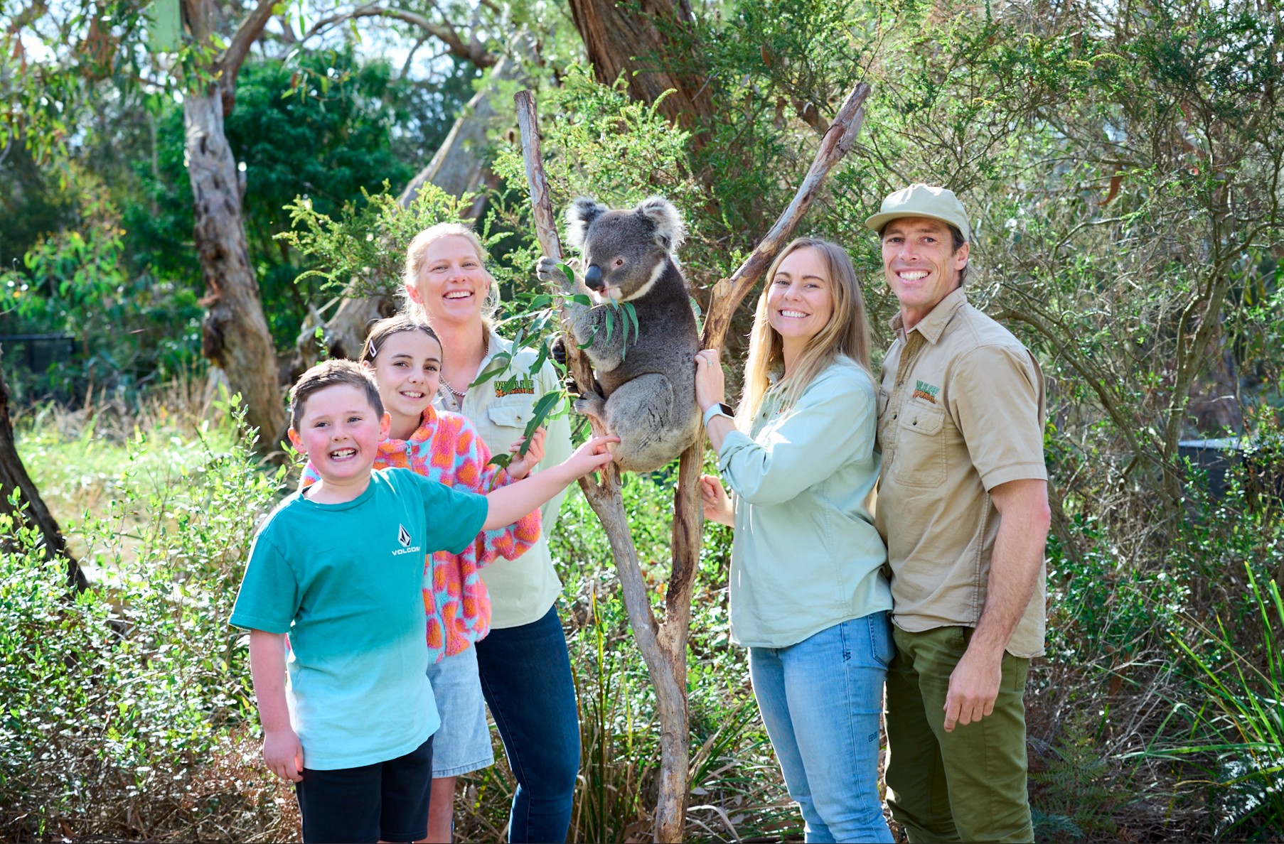 Great Ocean Road and Wildlife Day Tour with Meals