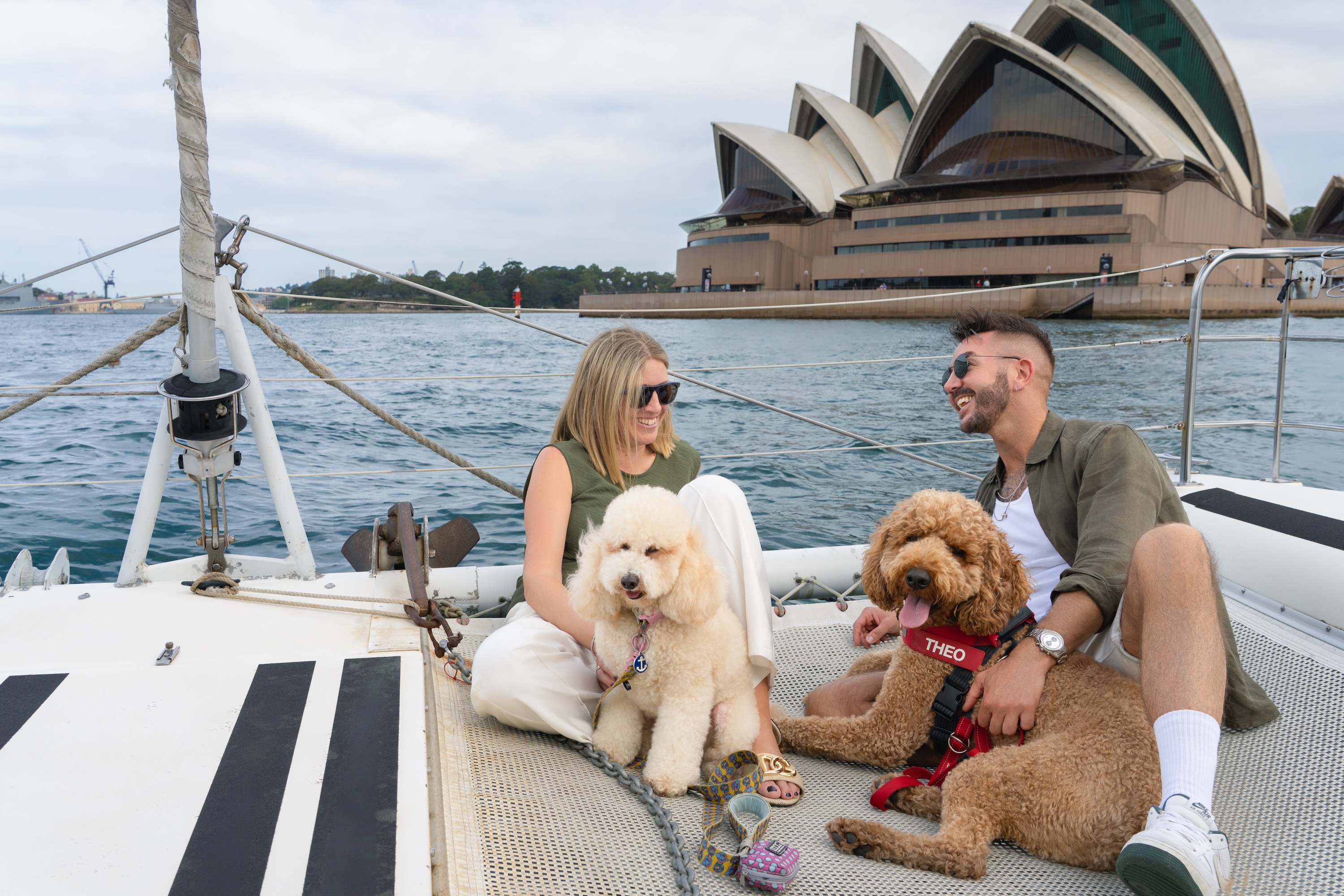 Sydney Harbour Scenic Dog Friendly Cruise - 1 Hour