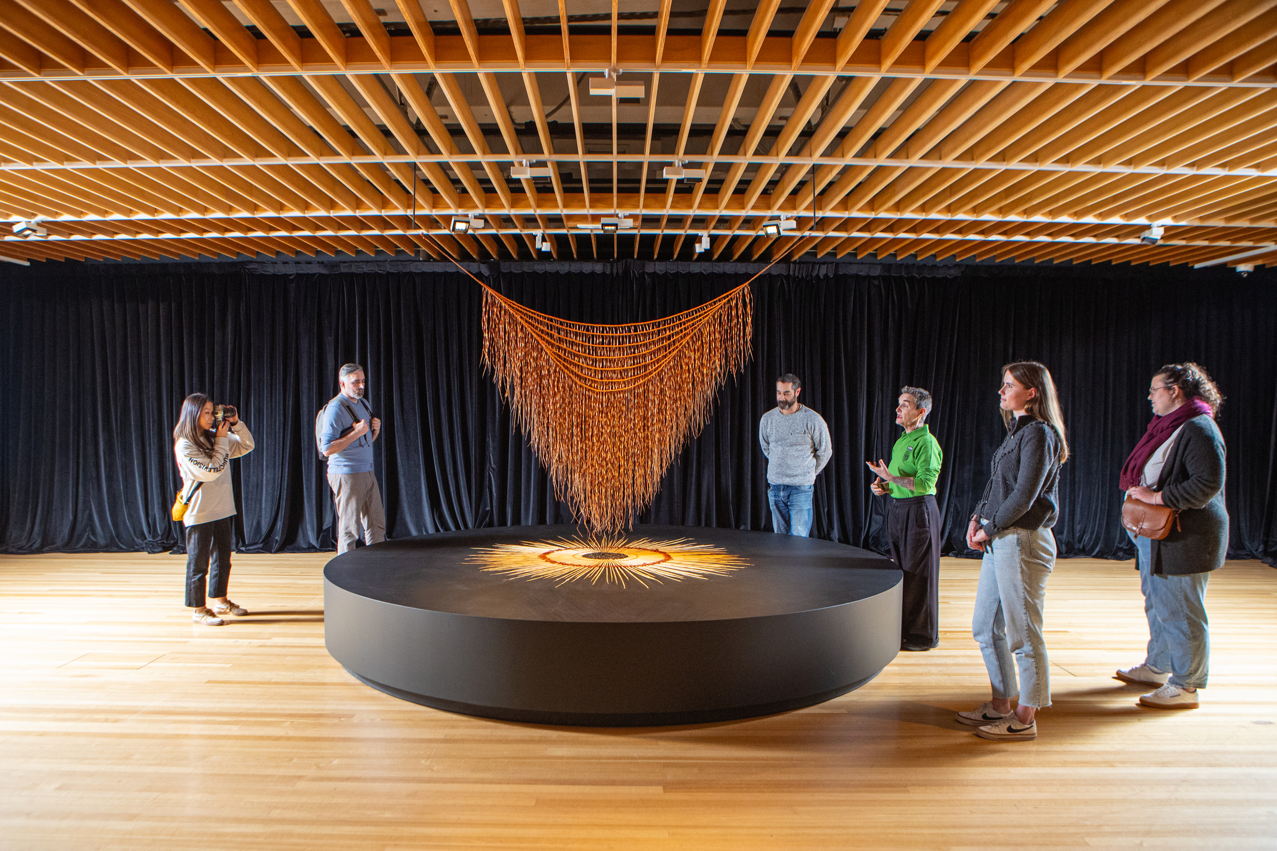 Te Papa Museum Art Narratives Guided Tour - 1 Hour