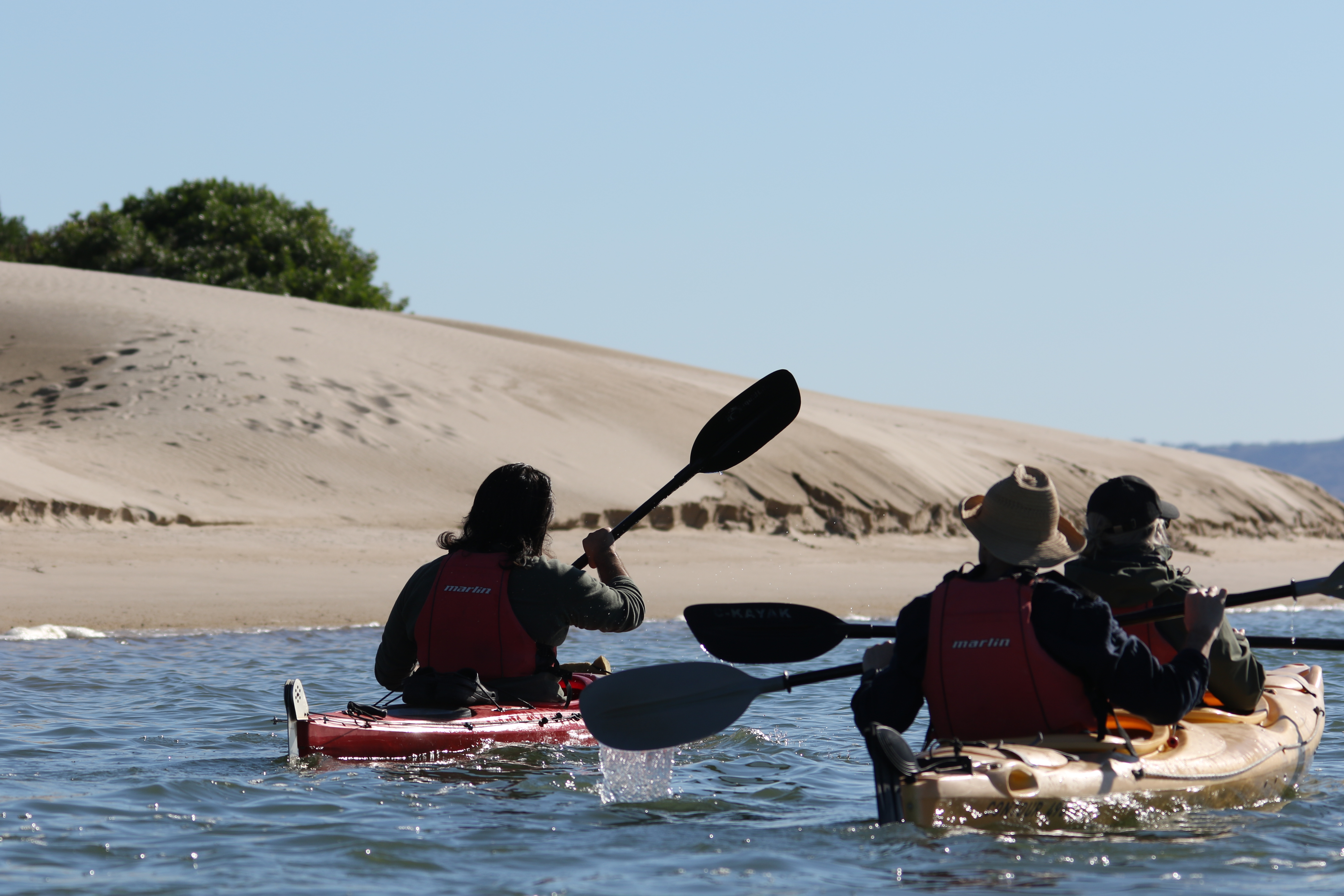 Guided Kayak Tour & Lunch, 4 Hours - Coorong National Park