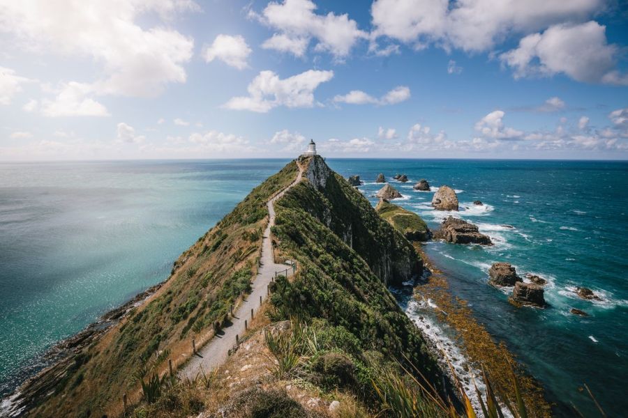 Dunedin to Te Anau Scenic One Way Tour via The Catlins