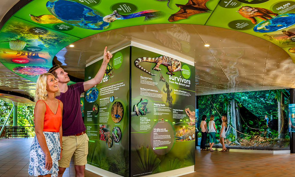 Kuranda Skyrail Loop, Train & Cairns City Pick Up
