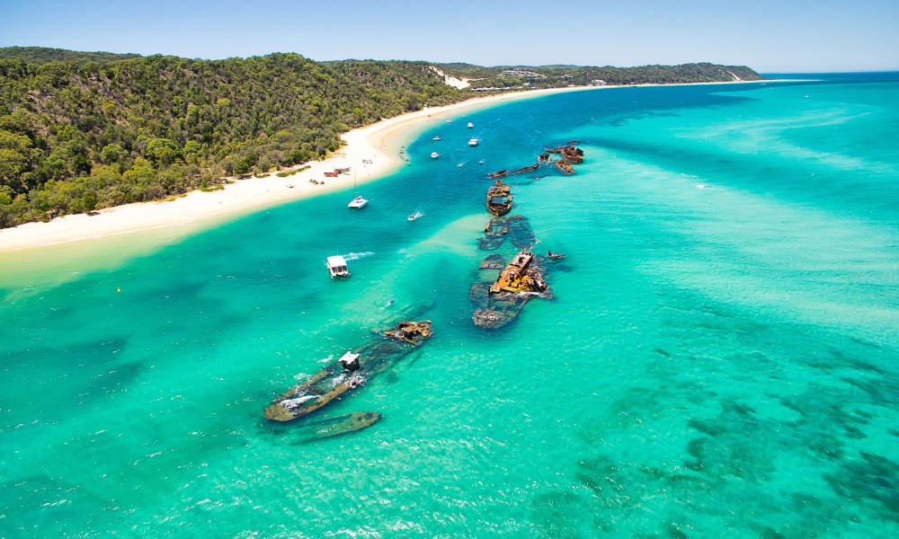 Tangalooma Marine Park Snorkelling Adventure