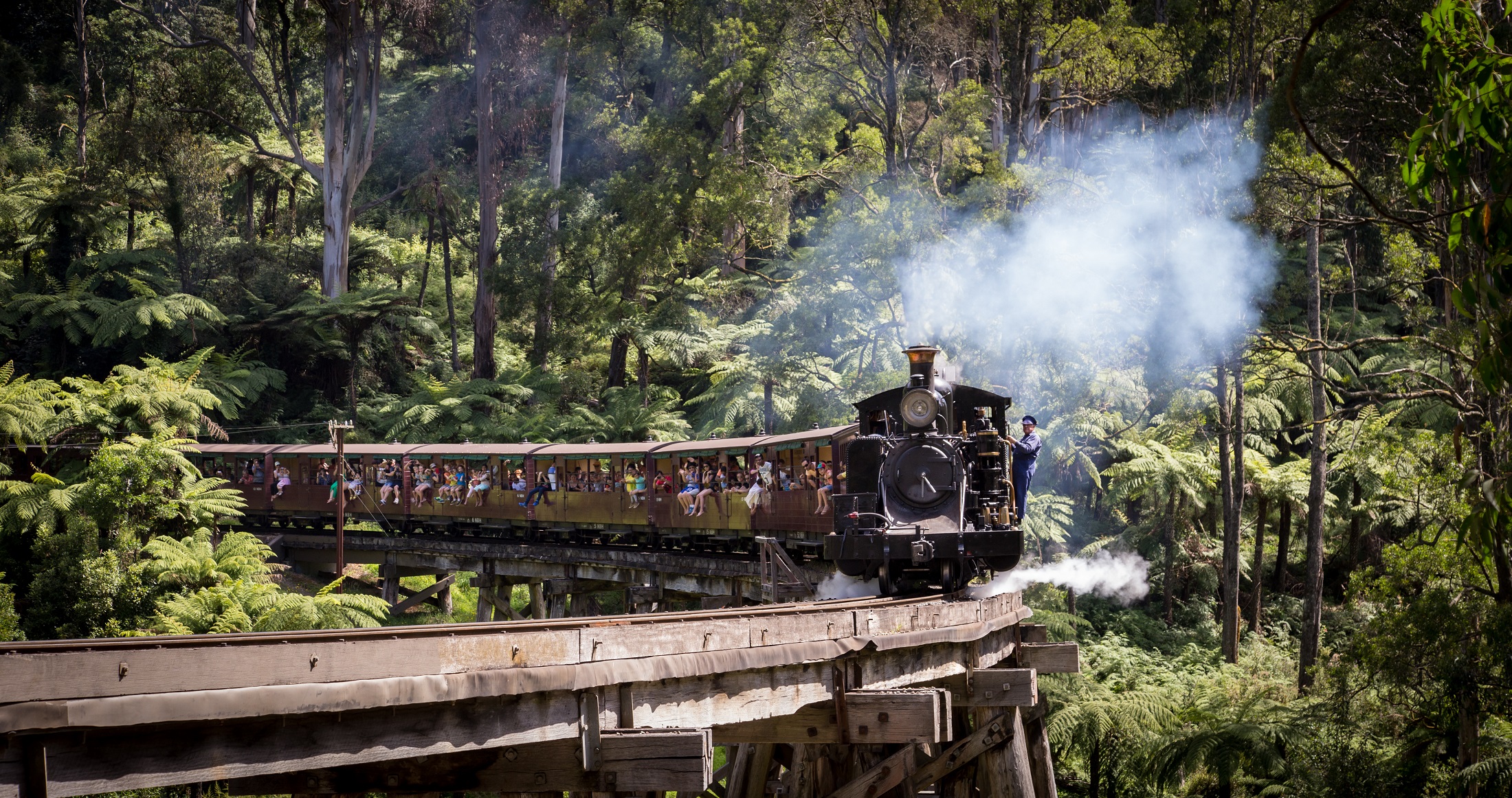Lake Mountain Snow Play & Puffing Billy Ride from Melbourne