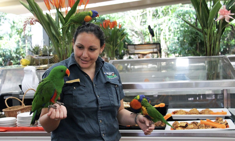 Breakfast with the Birds at Wildlife Habitat