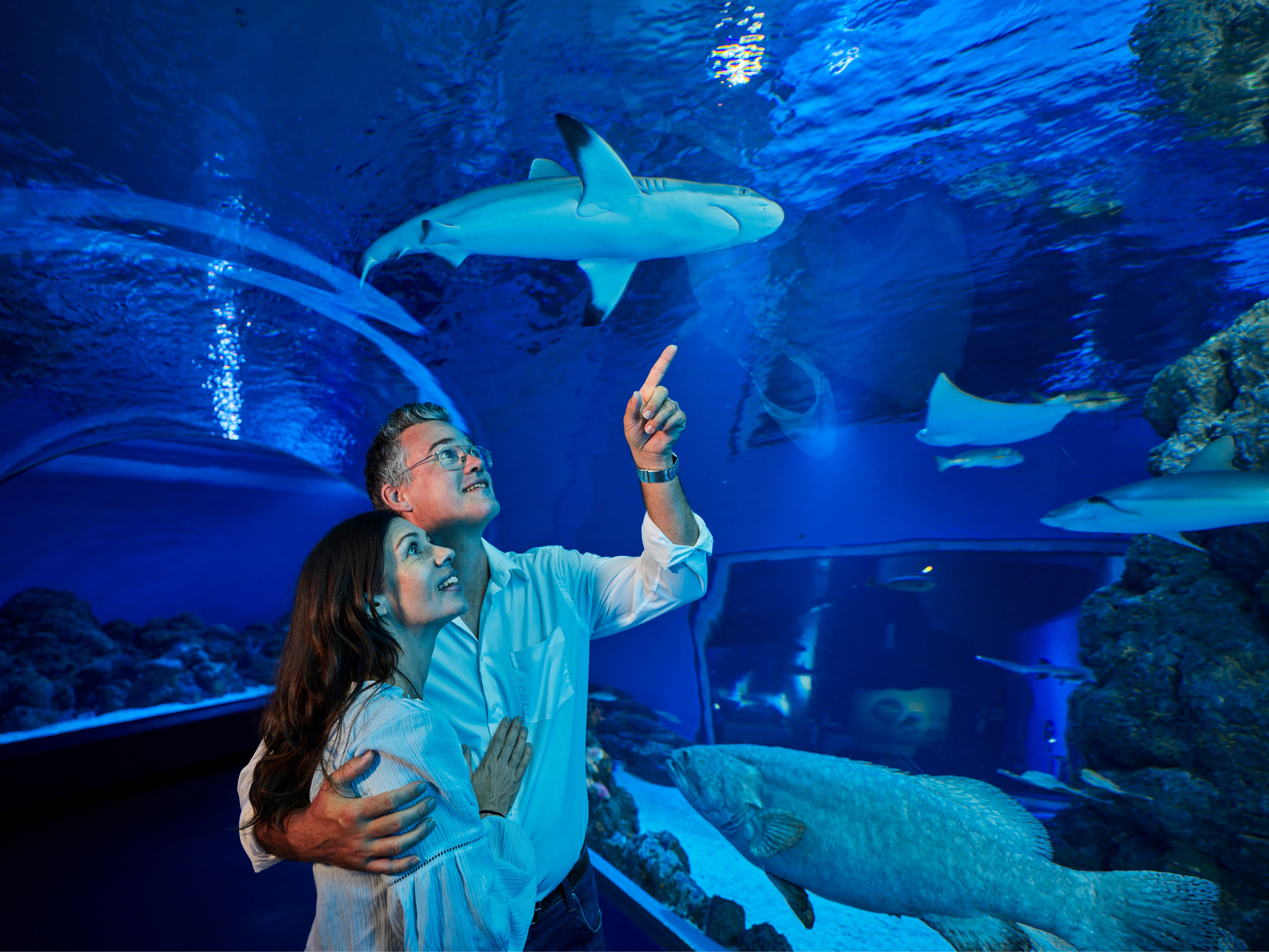 Night at the Aquarium Guided Tour - 90 Minutes