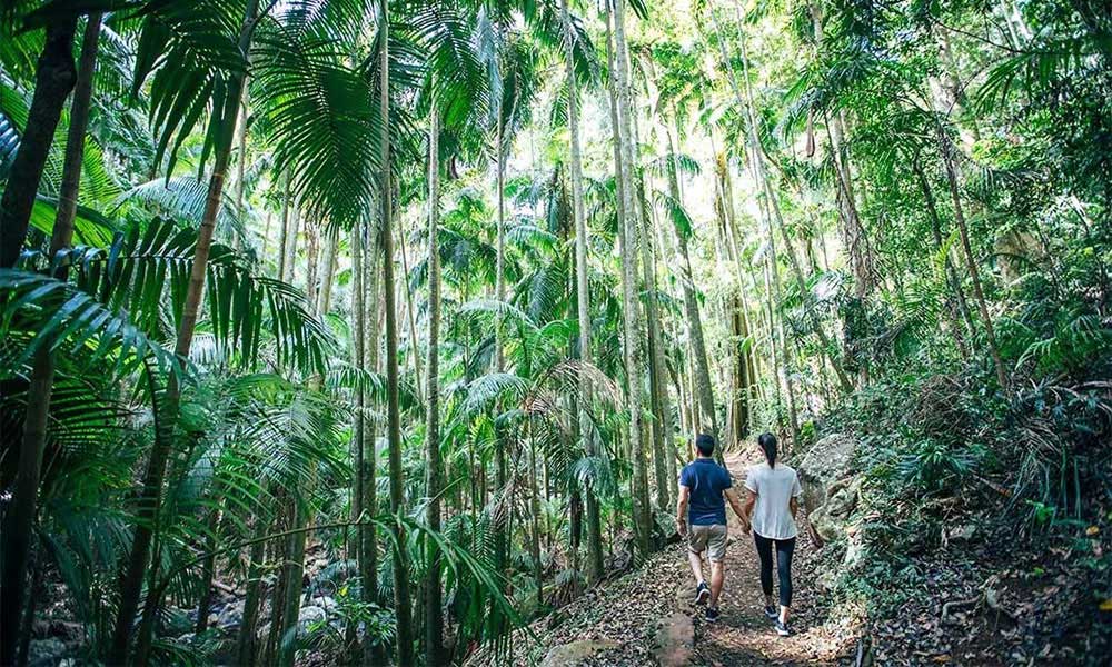 The Tastes of Tamborine Mountain